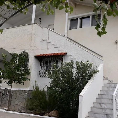 Tikozidis نيا إيراكليا