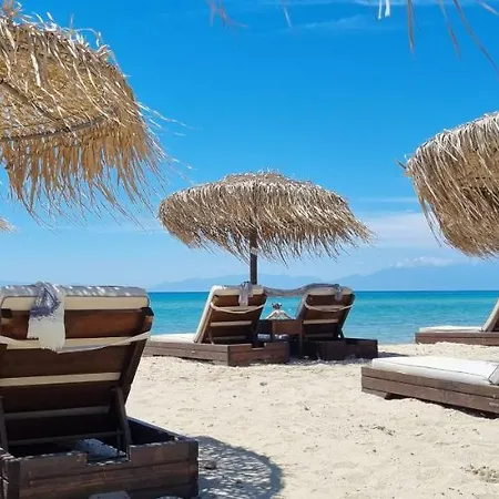 Tikozidis * 尼亚伊拉克利亚