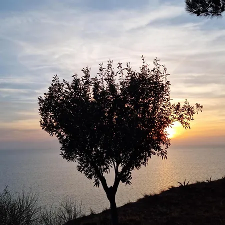 Tikozidis نيا إيراكليا