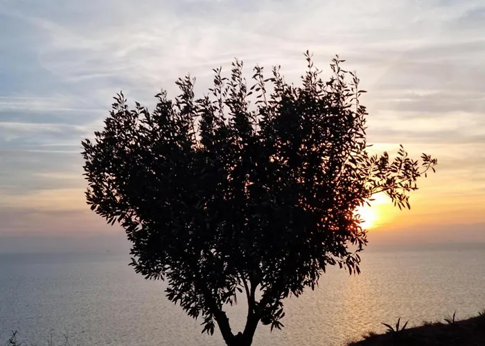 Tikozidis Néa Iráklia