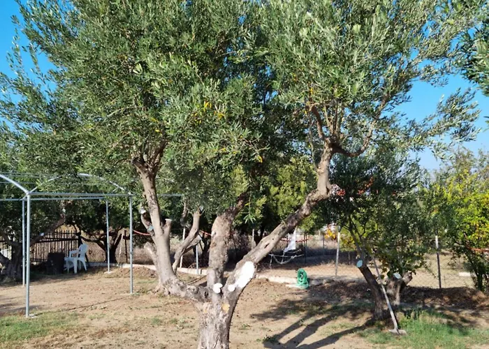 Tikozidis Apartamento *